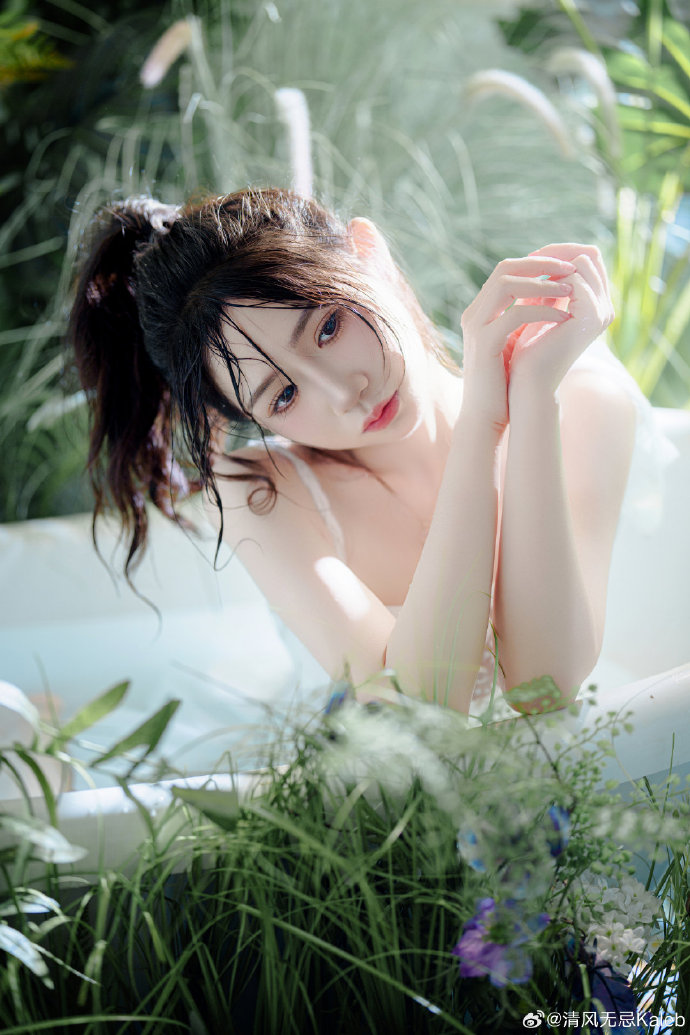 美丽心灵的永恒阳光 封面