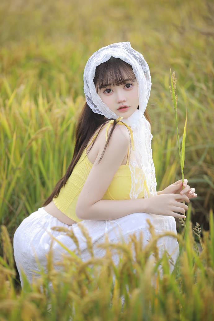 小森林 夏秋篇